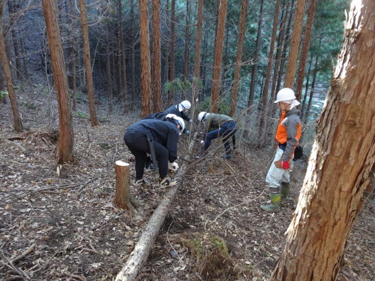 「埼玉県森林（もり）づくり協定」に基づき、森林保護活動を実施